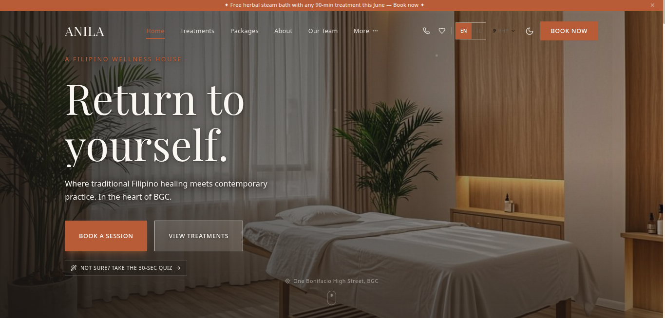 Anila website screenshot 1 of 4